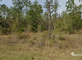0 Stuart Ave LOT 13, Interlachen, FL 32148