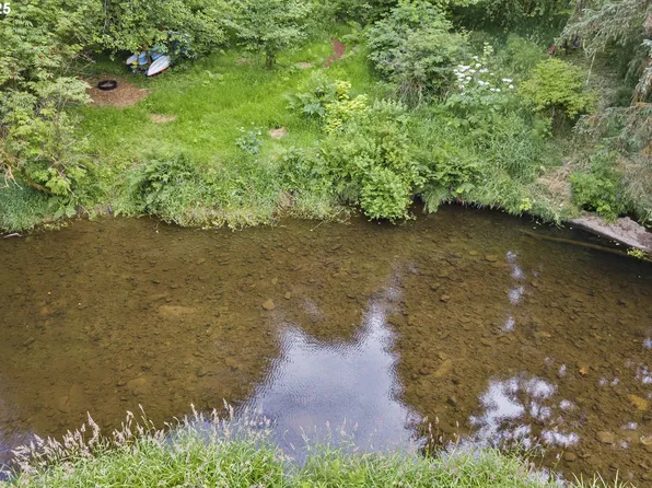 10235 Ridge View Ter, Birkenfeld, OR 97016