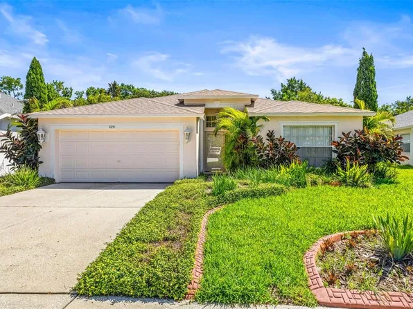 4251 Whittner Dr, Land O Lakes, FL 34639