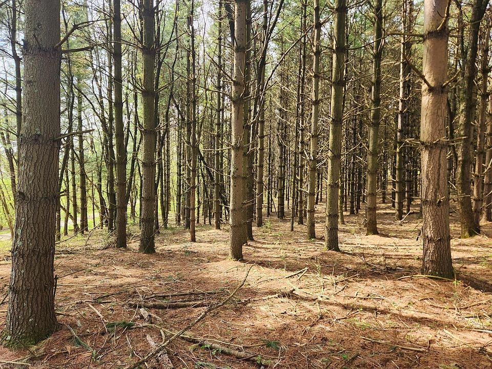 2nd image of Allis Chamlers Rd