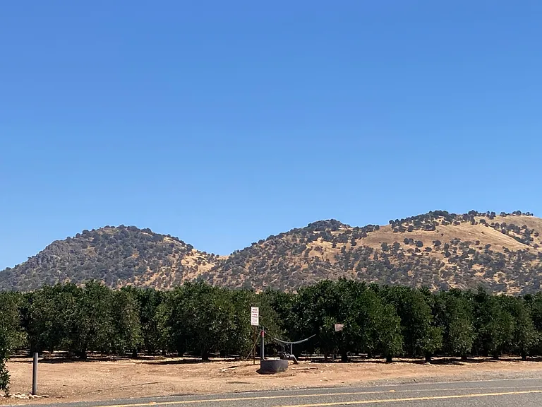N Piedra Rd — Photo 12