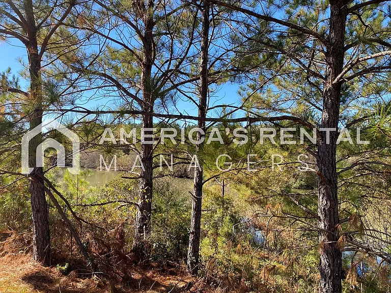 11392 Crimson Ridge Rd — Photo 35