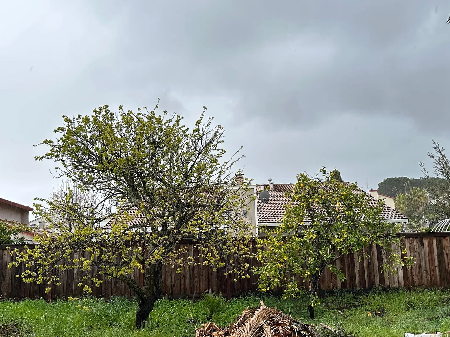 367 Violet Rd — Photo 4