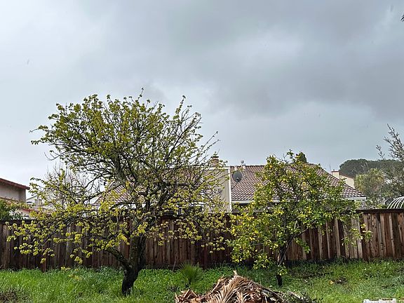 5th image of 367 Violet Rd