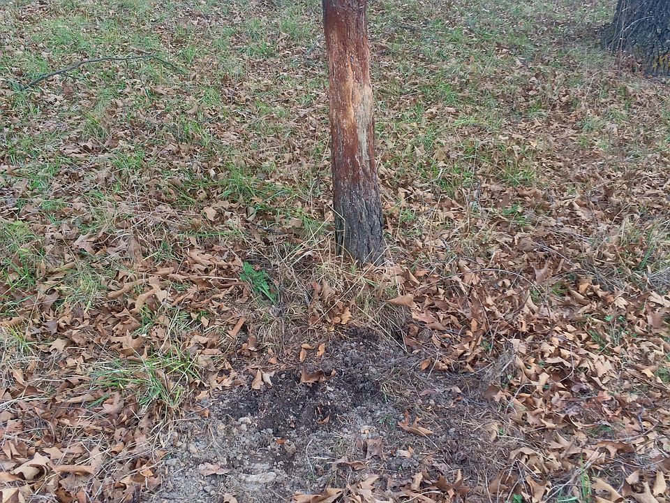 1st image of 18203 Monroe Dr
