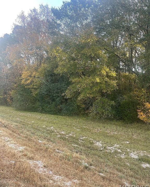 2nd image of 0 Marler Rd