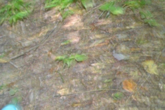 1st image of 0 Schelley Rd