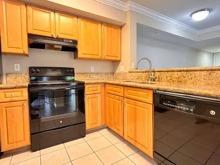 15155 Michelangelo Blvd — Photo 2