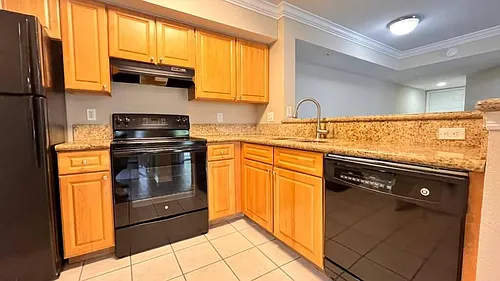 15155 Michelangelo Blvd #205 Photo 1