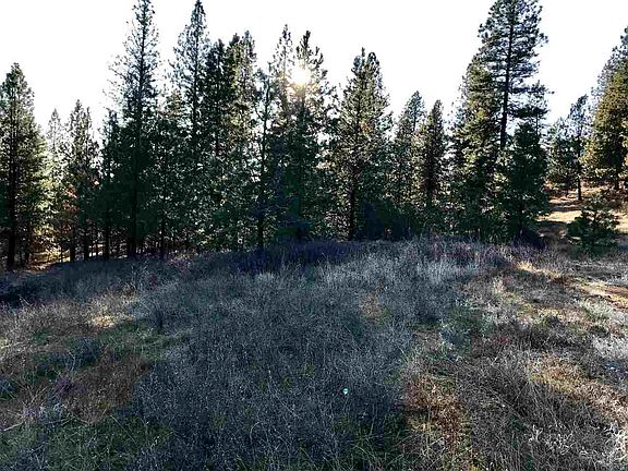 3rd image of 0 E Eagles Nest Ln