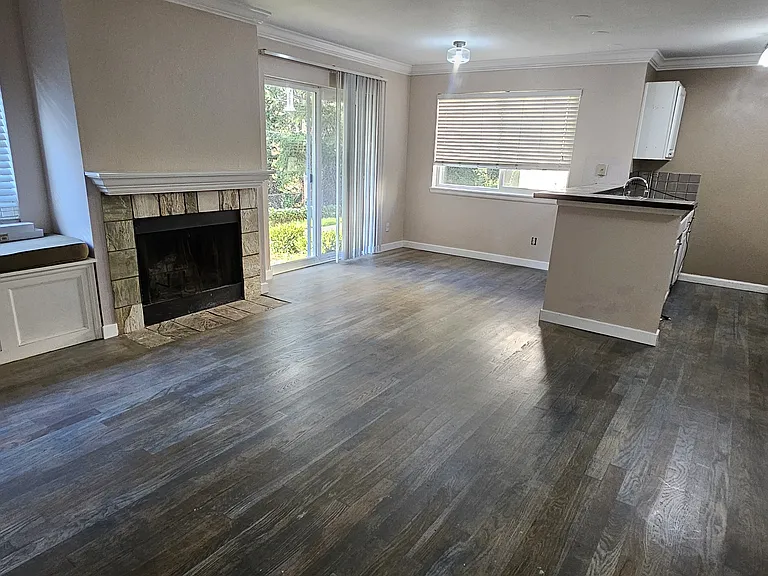Living room + Dining