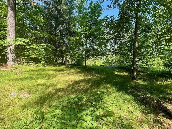 2495 Flinton Rd, Tweed, ON K0H 1P0
