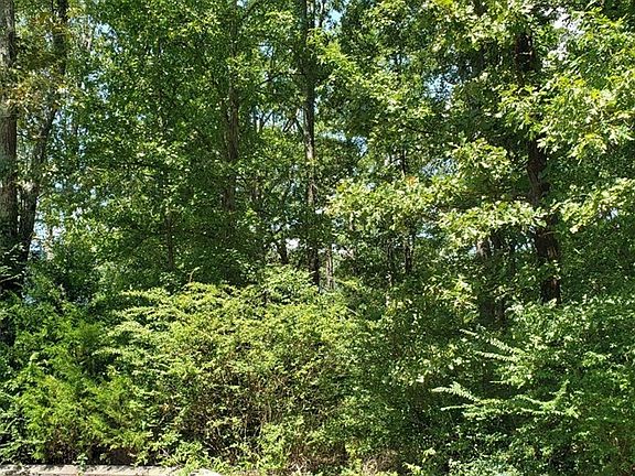 4th image of 9 Shady Oaks Cv