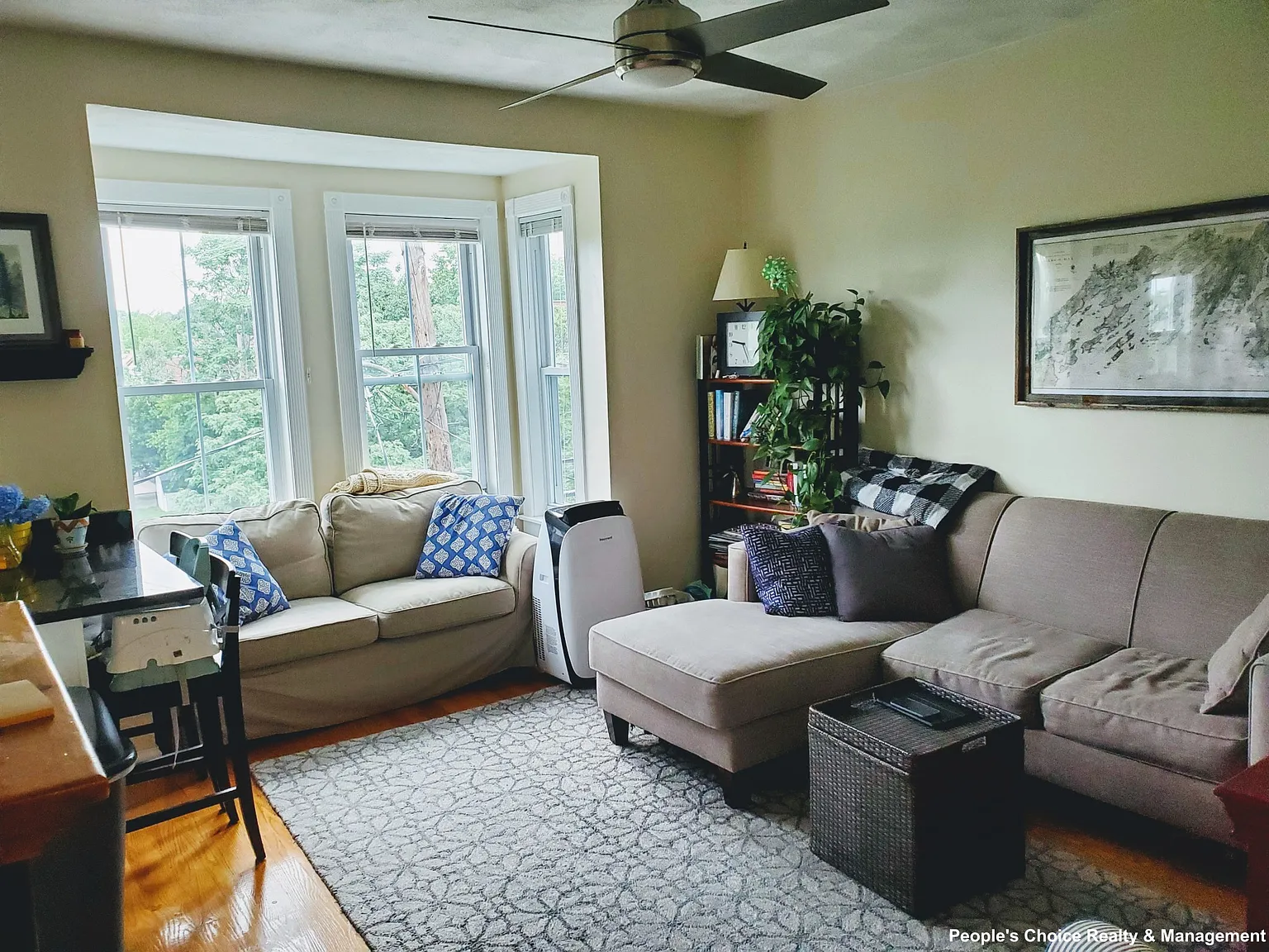 2 bed, 1.0 bath, $3,100 — Photo 3