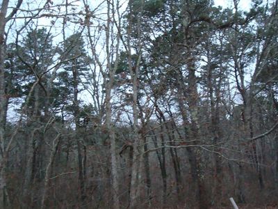 153 Oakmont Rd, Yarmouth Pt, MA, 02675