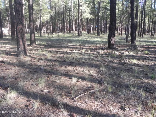 7606 E JOLLY ROGUE Lane #162, Williams, AZ 86046