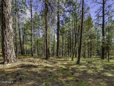 0 S Comstock Mine Rd, Prescott, AZ, 86303