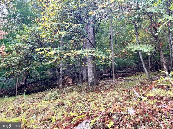LOT 16 Dewdrop Ln, Hedgesville, WV 25427