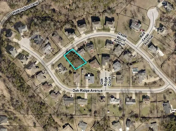 170 Oak Ridge Avenue, Branson, MO 65616