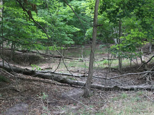 PARCEL Highland Dr #B, Beulah, MI 49617