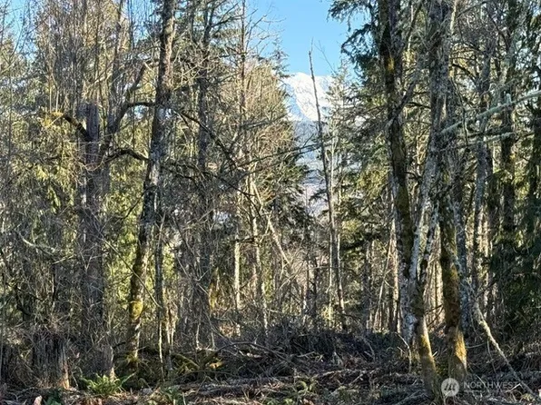 29512 152nd Avenue E, Graham, WA 98338