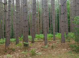 LOT 44 Deerpath Ln LOT 44, Woodruff, WI 54568