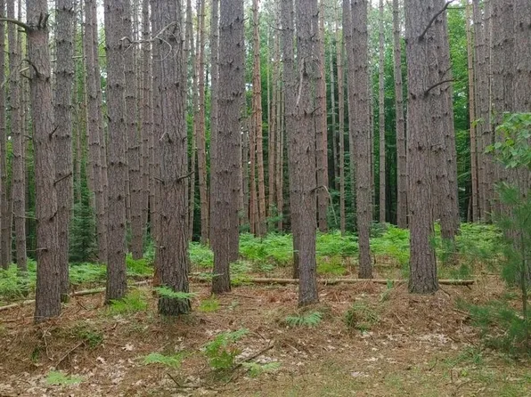 LOT 44 Deerpath Ln Lot 44, Woodruff, WI 54568