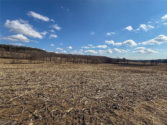 5th image of 603 Saint Rte