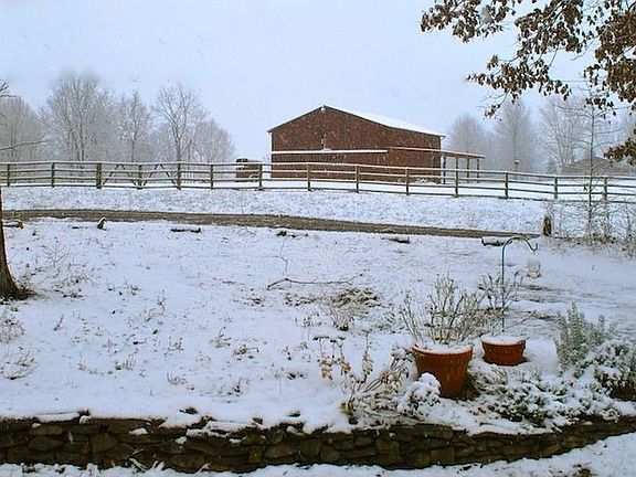Back yard in winter