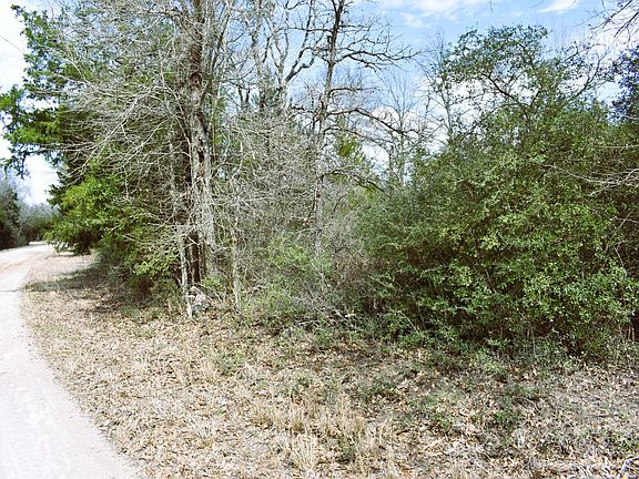 2nd image of Green Ash Dr