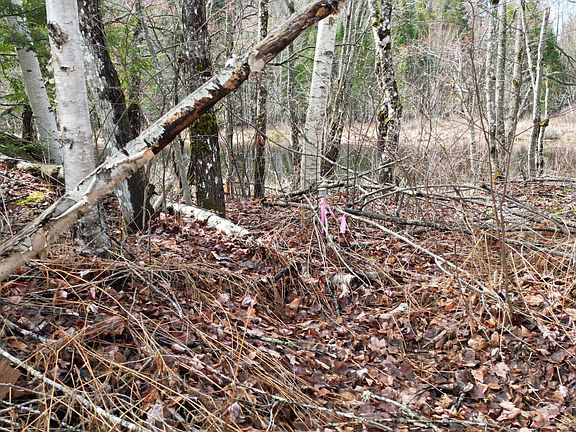 4th image of Lot 46I-2 Merriman Road