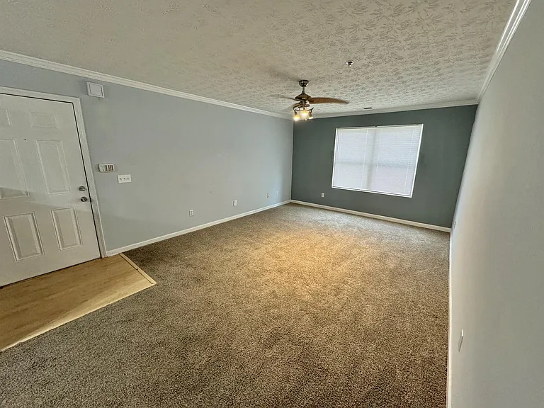11101 Waldrop Pl — Photo 13