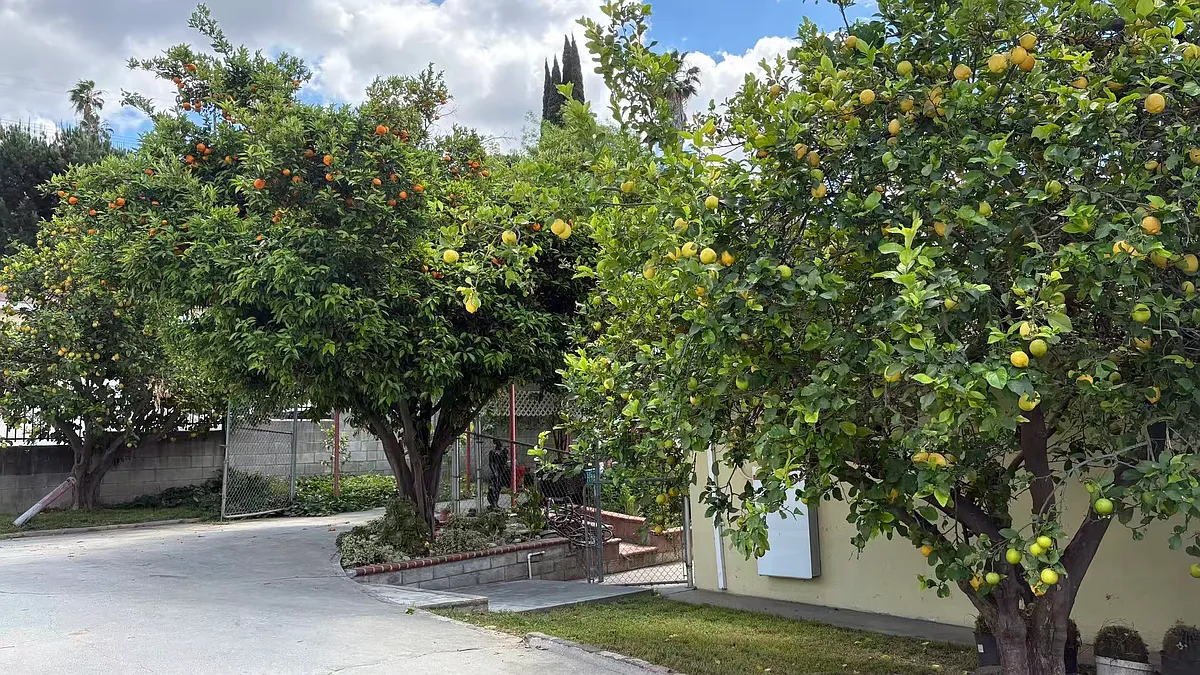 Building Photo - 15830 Villa Grande Dr