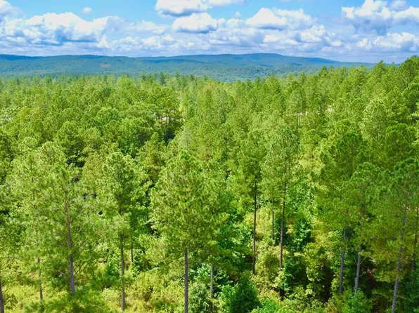 82 Barrel Knot Ct, Talking Rock, GA 30175