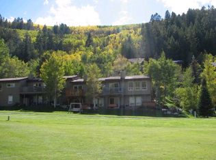 330 Elk Ln #1, Avon, CO --