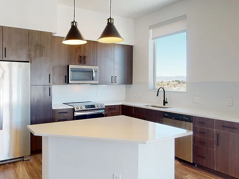 Apartment kitchen with stainless steel appliances, quartz countertops and wood-style flooring.