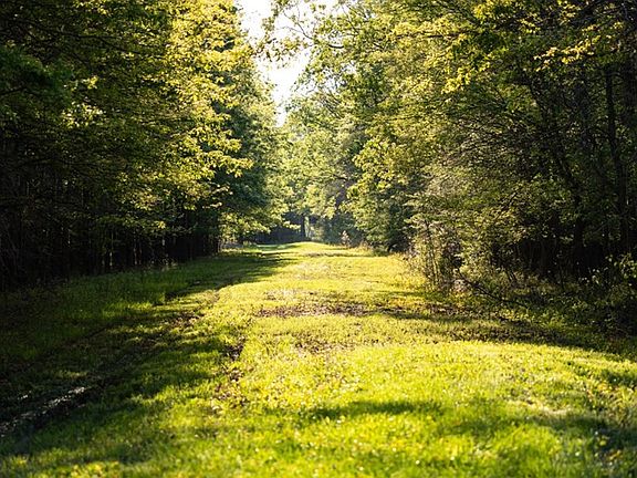 54th image of this home