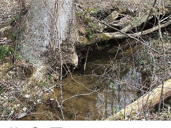 Creek that flows into the 