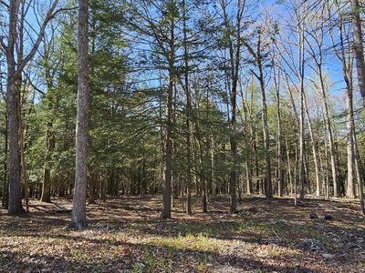 85 Perry Pond Rd, Narrowsburg, NY, 12764