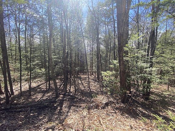 4th image of LOT 23 Hawk Hill Rd #23