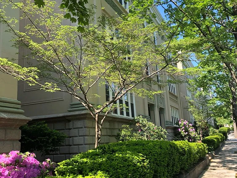 60 Egmont St #5 — Photo 15