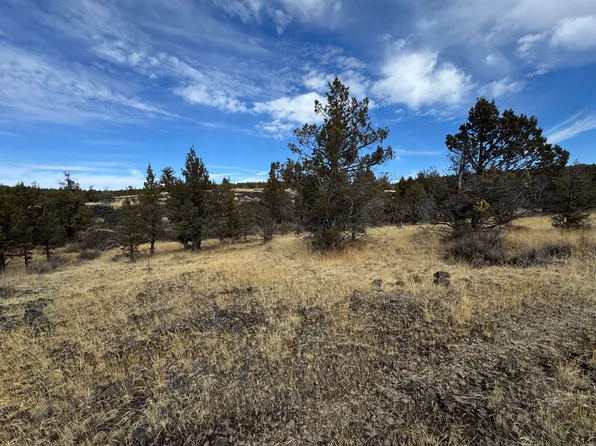 3000 Ochoco Land & Livestock, Prineville, OR 97754