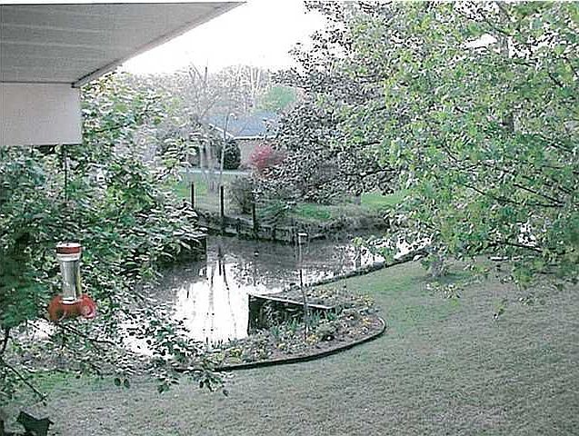 2nd image of 228 Cache Cir