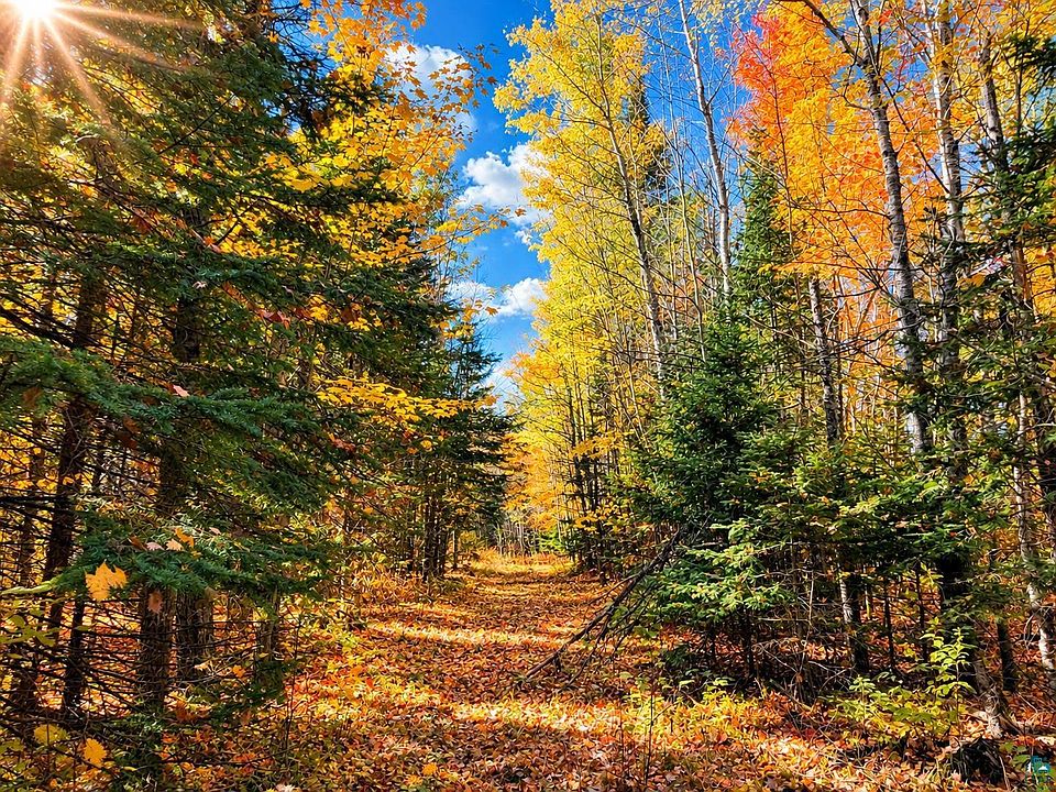 4th image of TBD Hinkkanen Rd