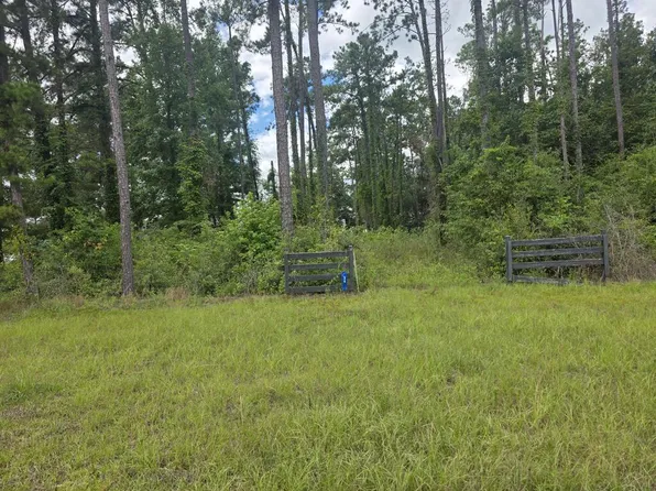 36 Rosalyn Rd #39854QUIT, Georgetown, GA 39854