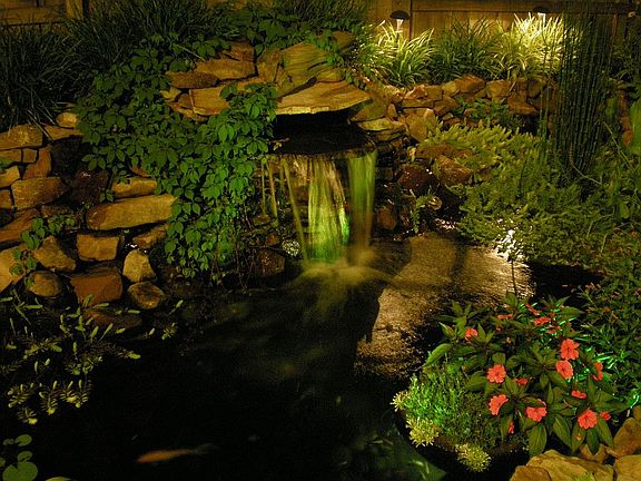 Backyard Pond