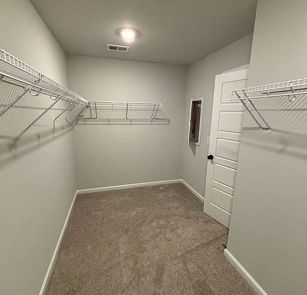 8010 Triggerfish Way — Photo 21