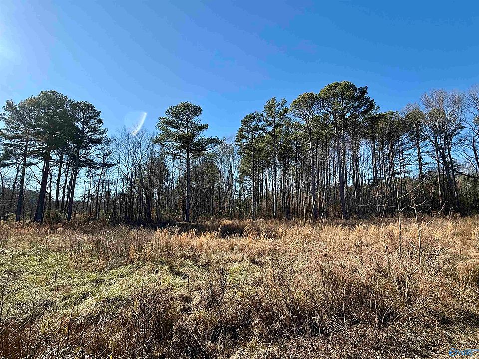 2nd image of LOT 25 Chambers Rd