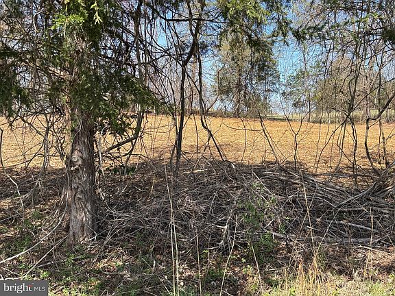 4th image of 2502 Holly Springs Rd Tract 2