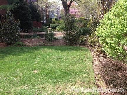 Front Yard 1 : Front Yard 1